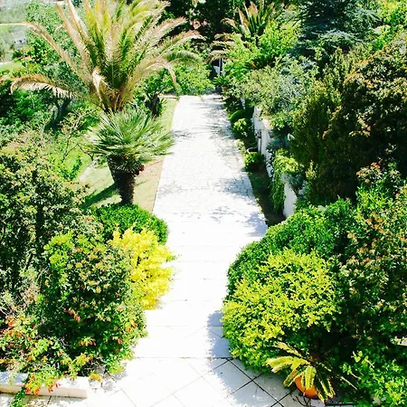 Seaview Dreams * オルモス・パナギアス