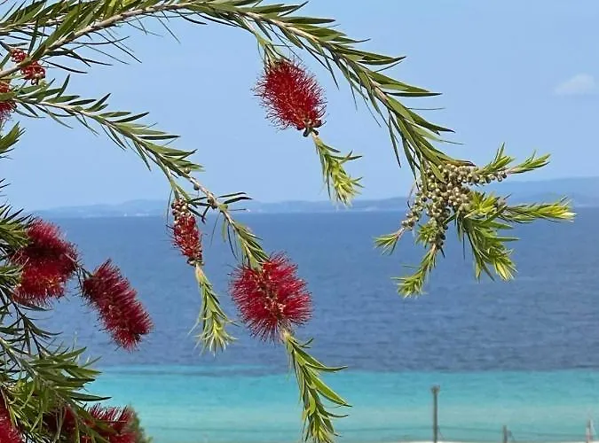 Casa vacanze Seaview Dreams *