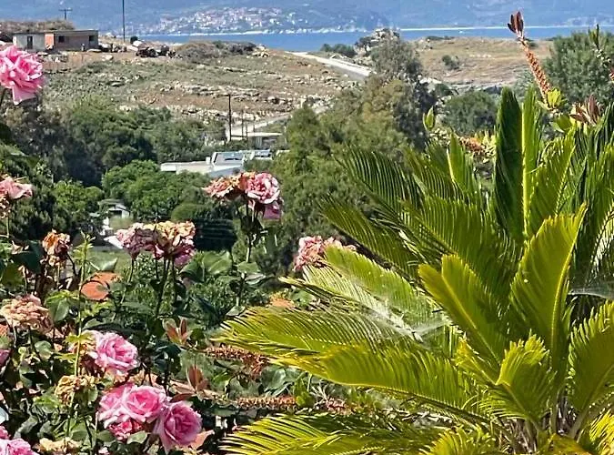 Casa vacanze Seaview Dreams