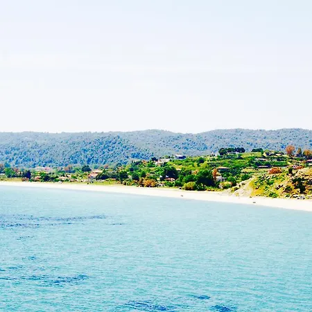 Seaview Dreams *