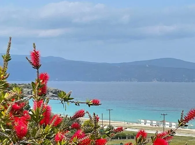 Seaview Dreams Holiday home