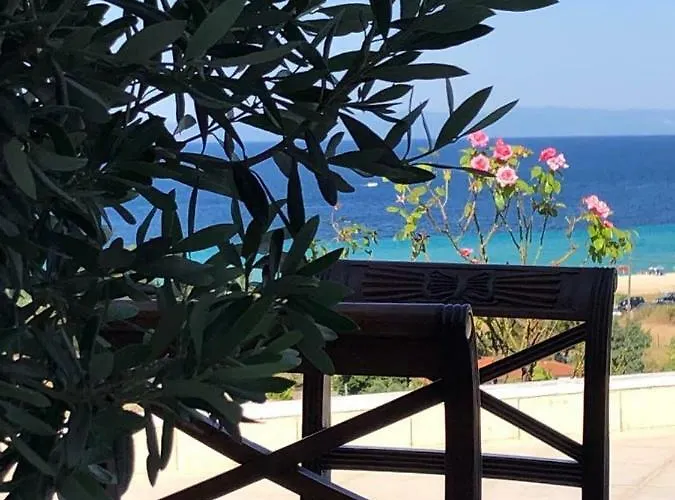 Seaview Dreams